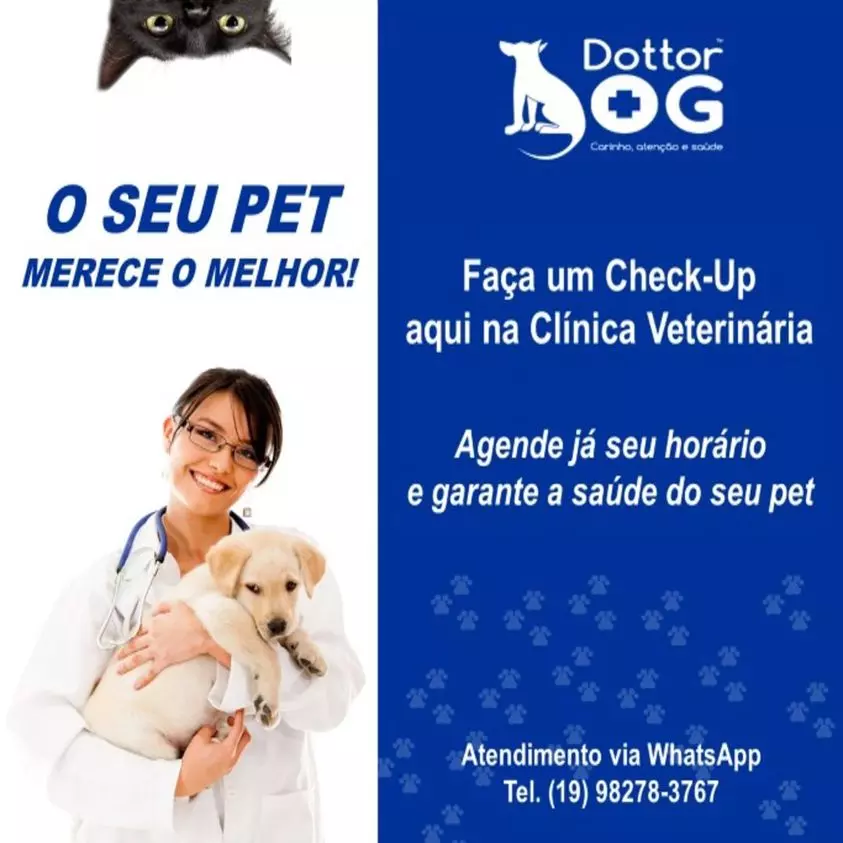 A Dra. Cris Santaterra da Clínica Dottor Dog Campinas - Sp  oferecem  vários serviços e planos de saúde para animais